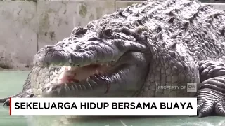 Unik atau Nekat?! Hidup Bersama Buaya Selama Puluhan Tahun