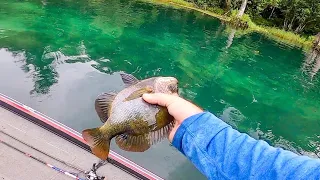 Using Worms to catch Keeper Bluegills (EASY TRICKS)