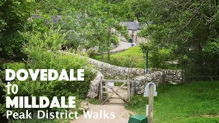 Dovedale to Milldale Walkthrough - Peak District Walks - July 2020