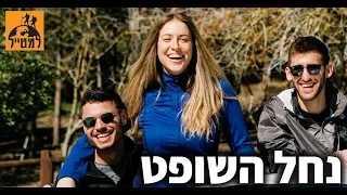 נחל השופט: חגיגה של טבע קרוב לבית