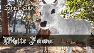 White Fawn - Fairy Tales Bedtime Stories audiobook for Kids