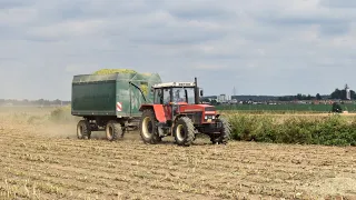 silaže/silage2019/nikonD3500/claas Jaguar 870/s-t-s Soběslav/ZD Horusice . Full HD