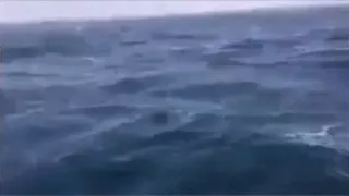 شاهد فيديو صيادين مغاربة ينقذون حراقة جزائريين في عرض البحر 2018