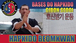 BASES DO HAPKIDO (GIBON SEOGI - 호신받기 운동)