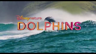 Dolphins 2018 Movie Trailer