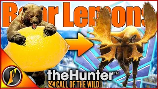 When a Bear Hunt Gives You Lemons...  | HUGE Diamond Moose on a 🍋 Bear Hunt!