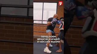 Фёдор Емельяненко против Майка Тайсона! #shorts #ufc #мма #рекомендации #viralvideo #бокс # #чимаев