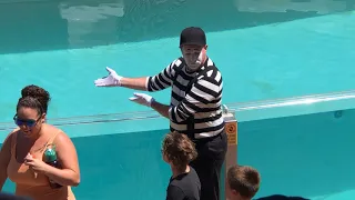 Rob the mime | Seaworld Mime | Seaworld Orlando