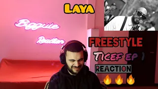 LAYA  - FREESTYLE (Ticéf Ep 1) REACTION 🔥🔥🔥