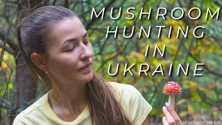 Mushroom Hunting in Ukraine