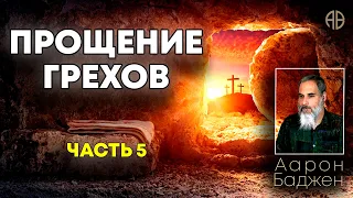 Прощение грехов. Часть 5 | Аарон Баджен