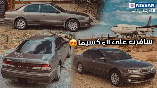 سفره على المكسيما بعد التجديد 🤎