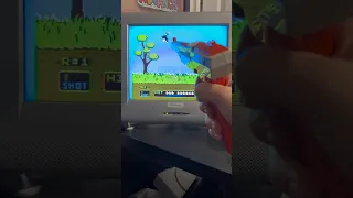 Playing Mario / Duck Hunt