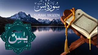 Quran recitation|beautiful Quran recitation surah yaseen|(surah Yaseen)@QuranHadees707