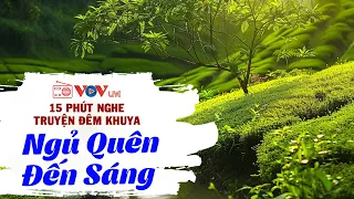 15 Phút Nghe Truyện Ngủ Cực Ngon | Kể Chuyện Đêm Khuya Đài Tiếng Nói Việt Nam Dễ Ngủ Nhất 2024