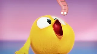 Where's Chicky? Funny Chicky 2022 | CHICKY IS VERY HUNGRY | Chicky Cartoon in English for Kids