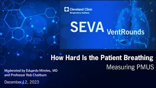 SEVA VentRounds Express: How Hard Is the Patient Breathing?