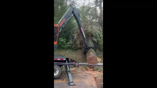 Knuckle Boom Log Loader Takes on Giant Oak Stump with Ease