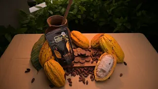 In Search of Heritage Cacao