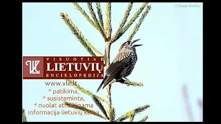 riešutinė | Visuotinė lietuvių enciklopedija