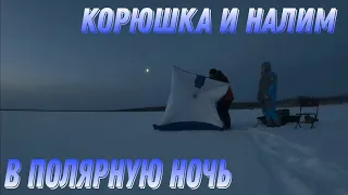 ЗА КОРЮШКОЙ И НАЛИМОМ В ПОЛЯРНУЮ НОЧЬ.