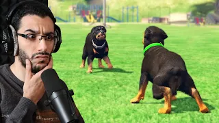 شوب ضد الكلب المسعور من سيفوز في جي تي أي 5 ؟ | GTA V Chop vs Dog