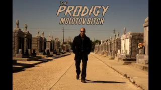 The Prodigy - Molotov Bitch (Vikentiy Sound Clip) (2011)