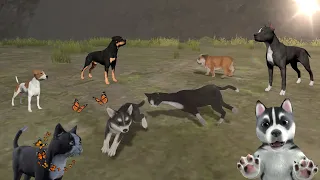 Dog Online - Monster Virus 2024: Playtime