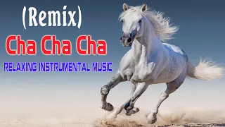 (GOLDEN) LATIN ASIA CHA CHA - RUMBA - MAMBO | TOP 100 RELAXING INSTRUMENTAL MUSIC