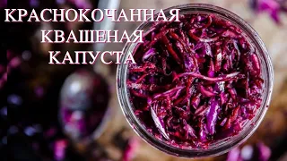 Как Ферментировать Красную (Краснокочанную)  Капусту с Имбирем | что есть при раке и против рака