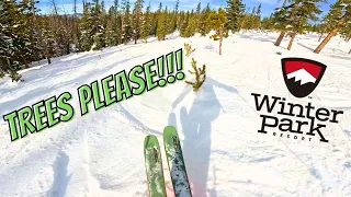 SKIING late December TREE RUNS at WINTER PARK