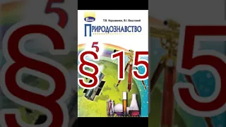 § 15 "Небо. Небесна сфера"//5 клас Природознавство//Коршевнюк