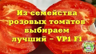 Из семейства розовых томатов выбираем лучший - VP1 F1