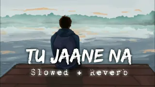 Tu Jaane Na [Slowed+Reverb]- Atif Aslam | Lo-Fi TV