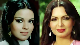 Parveen Babi and Zeenat Aman Life Story