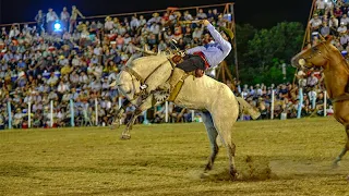 Festival de Diamante: las finales de la jineteada en el campo "Martín Fierro"