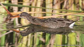 Revitalizing Lower Gila River Corridor