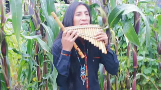 Inkas Wambras (Inca Sol) instrumental