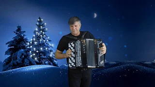 ✅🎄Песня "НОВОГОДНЯЯ"🎄Сергей Анацкий✨👍