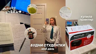 БУДНИ СТУДЕНТКИ в МОСКВЕ/STUDY WITH ME/купила ПРИНТЕР!/покупки для дома/учёба/ЖИВУ ОДНА/стади виз ми