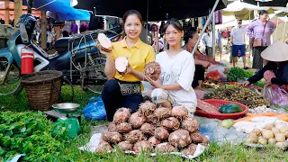 Harvesting Natural Fruits Goes to the market sell - Gardening - Cooking -  Hanna Daily Life