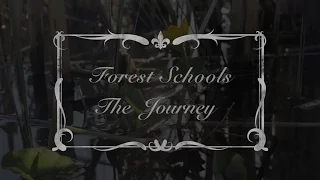 The Forest Schools journey