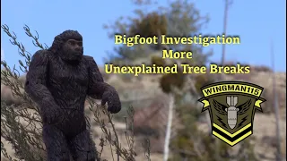 Bigfoot Investigation More Unexplained Tree Breaks With Audio