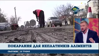 Павло Петренко в ефірі телеканалу "Україна" розповів про санкції для неплатників аліментів