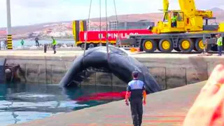 They Drained This Canal For The First Time In Decades, And What They Discovered Is Truly Bizarre