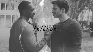 Sam & Bucky [your partner needs backup] [+1x04]