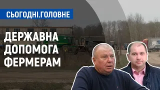 Державна підтримка фермерів: яку допомогу можуть отримати | Сьогодні. Головне