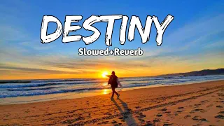 Destiny - Alan Walker | (Slowed+Reverb) Slow + Reverb | New Song 15 August 2022