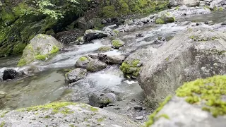 奥多摩　日原川　作業集中　リラックス