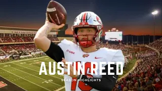 Austin Reed || CUSA Leading Passer || 2023 Season Highlights